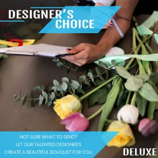 designers choice deluxe